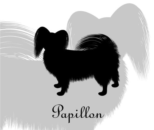 パピヨン様 ラッピングおすすめ3本セットB(12mm幅）｜ブラザーダイレクトクラブ